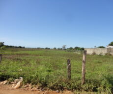 SÍTIO DE 3,5 ALQUEIRES EM CAMPO NOVO