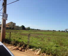 SÍTIO DE 3,5 ALQUEIRES EM CAMPO NOVO