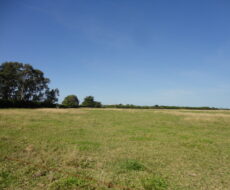 SÍTIO DE 5 ALQUEIRES EM CAMPO NOVO