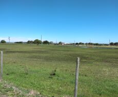 FAZENDA DE 90 ALQUEIRES EM FLEXEIRAS, QUISSAMÃ.