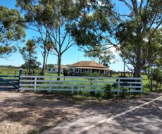 FAZENDA DE 90 ALQUEIRES EM FLEXEIRAS, QUISSAMÃ.