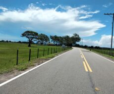 FAZENDA DE 90 ALQUEIRES EM FLEXEIRAS, QUISSAMÃ.