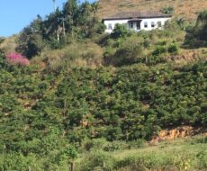 FAZENDA DE 150 ALQUEIRES EM MIMOSO DO SUL ES