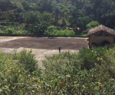 FAZENDA DE 150 ALQUEIRES EM MIMOSO DO SUL ES