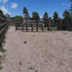 FAZENDA DE 29,50 ALQUEIRES EM FLEXEIRAS, QUISSAMÃ.