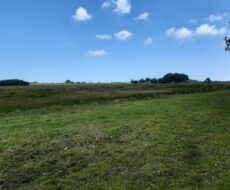 FAZENDA DE 90 ALQUEIRES EM FLEXEIRAS, QUISSAMÃ.