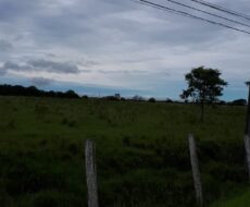 ÁREA DE 105.000,00 M² NA BR 101 (CAMPOS X RIO)