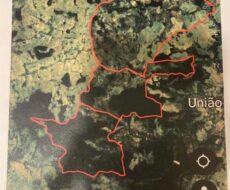 FAZENDA DE 150 ALQUEIRES EM MIMOSO DO SUL ES