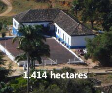 FAZENDA DE 150 ALQUEIRES EM MIMOSO DO SUL ES