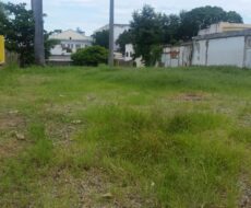 EXCELENTE TERRENO COMERCIAL 1.550,00M²