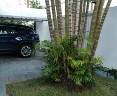 CASA DUPLEX NA RUA HERCULANO AQUINO, Nº , FLAMBOYANT.