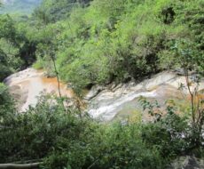 FAZENDA DE 120 ALQUEIRES EM CONCEIÇÃO DE MACABÚ