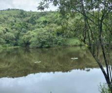 FAZENDA DE 310 ALQUEIRES NO MUNICÍPIO DE TANGUÁ