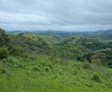 FAZENDA DE 310 ALQUEIRES NO MUNICÍPIO DE TANGUÁ