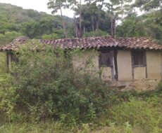 FAZENDA DE 310 ALQUEIRES NO MUNICÍPIO DE TANGUÁ