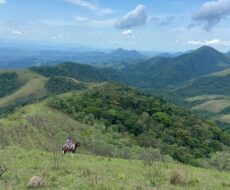 FAZENDA DE 310 ALQUEIRES NO MUNICÍPIO DE TANGUÁ