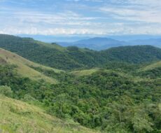 FAZENDA DE 310 ALQUEIRES NO MUNICÍPIO DE TANGUÁ