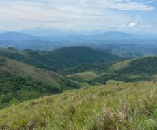 FAZENDA DE 310 ALQUEIRES NO MUNICÍPIO DE TANGUÁ