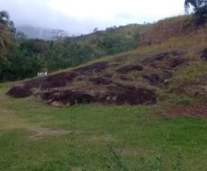 FAZENDA DE 310 ALQUEIRES NO MUNICÍPIO DE TANGUÁ