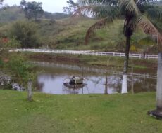 FAZENDA DE 310 ALQUEIRES NO MUNICÍPIO DE TANGUÁ