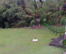 FAZENDA DE 310 ALQUEIRES NO MUNICÍPIO DE TANGUÁ