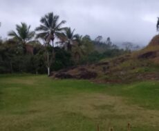 FAZENDA DE 310 ALQUEIRES NO MUNICÍPIO DE TANGUÁ