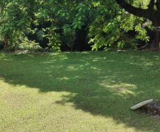 FAZENDA DE 310 ALQUEIRES NO MUNICÍPIO DE TANGUÁ