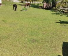 FAZENDA DE 310 ALQUEIRES NO MUNICÍPIO DE TANGUÁ