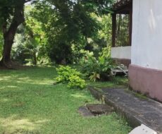 FAZENDA DE 310 ALQUEIRES NO MUNICÍPIO DE TANGUÁ