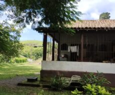 FAZENDA DE 310 ALQUEIRES NO MUNICÍPIO DE TANGUÁ