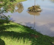 FAZENDA DE 310 ALQUEIRES NO MUNICÍPIO DE TANGUÁ