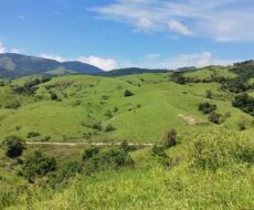 FAZENDA DE 310 ALQUEIRES NO MUNICÍPIO DE TANGUÁ