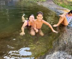 FAZENDA DE 49,10 ALQUEIRES NO MUNICIPIO DE TRAJANO DE MORAES