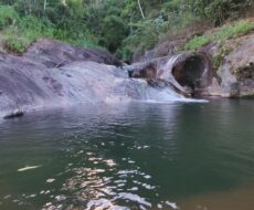 FAZENDA DE 49,10 ALQUEIRES NO MUNICIPIO DE TRAJANO DE MORAES