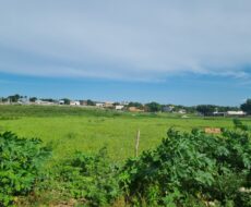 ÁREA COMERCIAL DE 45.000,00M² NO PARQUE SANTOS DUMONT