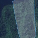 FAZENDA DE 30 ALQUEIRES TODA EM MATA, EM TRAJANO DE MORAES