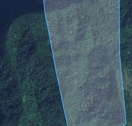 FAZENDA DE 30 ALQUEIRES TODA EM MATA, EM TRAJANO DE MORAES