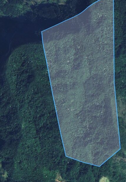 FAZENDA DE 30 ALQUEIRES TODA EM MATA, EM TRAJANO DE MORAES