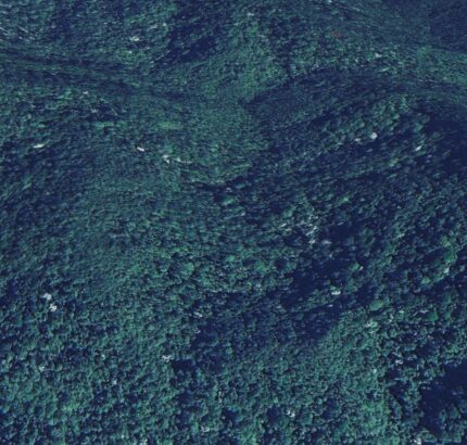 FAZENDA DE 30 ALQUEIRES TODA EM MATA, EM TRAJANO DE MORAES