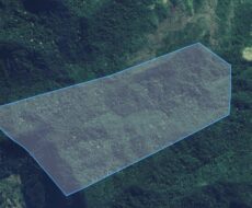 FAZENDA DE 30 ALQUEIRES TODA EM MATA, EM TRAJANO DE MORAES