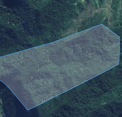 FAZENDA DE 30 ALQUEIRES TODA EM MATA, EM TRAJANO DE MORAES