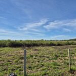 ÁREA NA BR – 101 (CAMPOS – RIO) A 600,00 METROS DO SHOPPING ESTRADA 186.000,00 M²