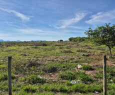 ÁREA NA BR – 101 (CAMPOS – RIO) A 600,00 METROS DO SHOPPING ESTRADA 186.000,00 M²