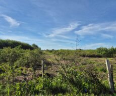 ÁREA NA BR – 101 (CAMPOS – RIO) A 600,00 METROS DO SHOPPING ESTRADA 186.000,00 M²