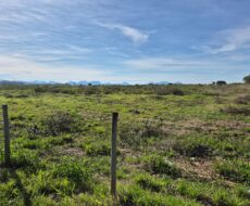 ÁREA NA BR – 101 (CAMPOS – RIO) A 600,00 METROS DO SHOPPING ESTRADA 186.000,00 M²