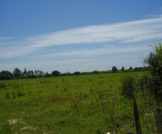 ÁREA DE 528.000,00,00 M² NA PENHA TOTALMENTE ENCERIDA NO PERIMETRO URBANO.