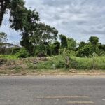 ÁREA DE 528.000,00,00 M² NA PENHA TOTALMENTE ENCERIDA NO PERIMETRO URBANO.