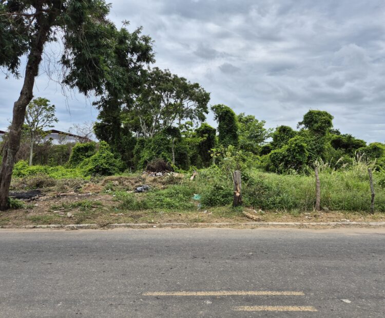 ÁREA DE 528.000,00,00 M² NA PENHA TOTALMENTE ENCERIDA NO PERIMETRO URBANO.