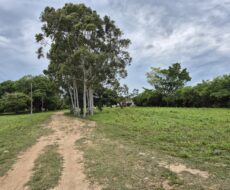 ÁREA DE 528.000,00,00 M² NA PENHA TOTALMENTE ENCERIDA NO PERIMETRO URBANO.