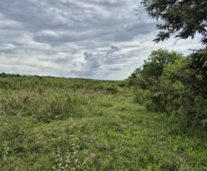 ÁREA DE 528.000,00,00 M² NA PENHA TOTALMENTE ENCERIDA NO PERIMETRO URBANO.